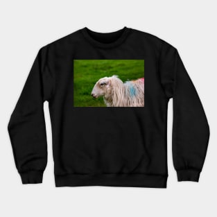 Sheep Crewneck Sweatshirt